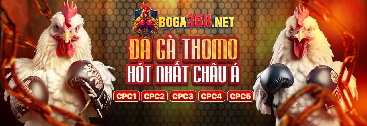 Ứng dụng link vao ibet trên điện thoại